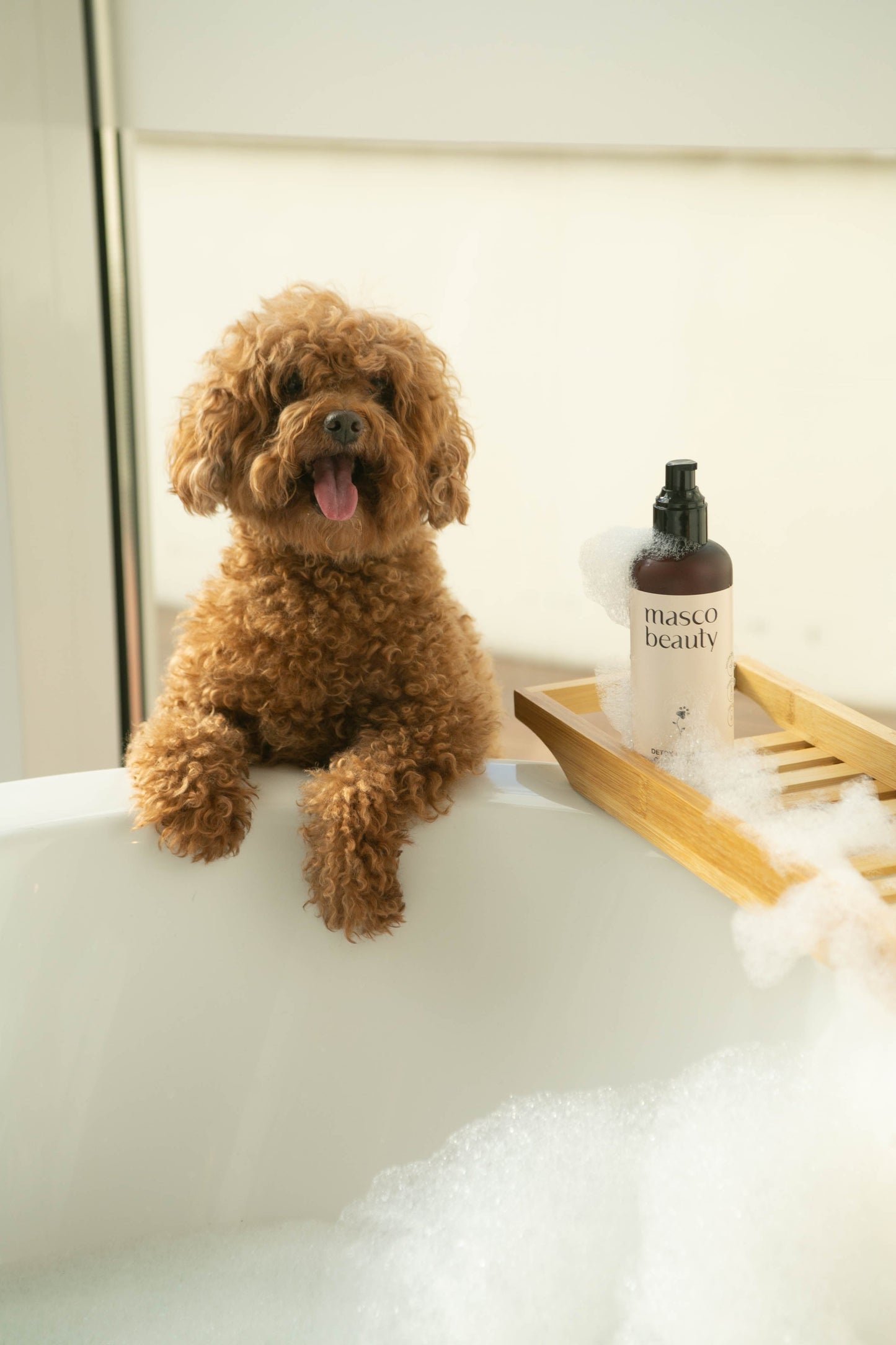 Champú Detox