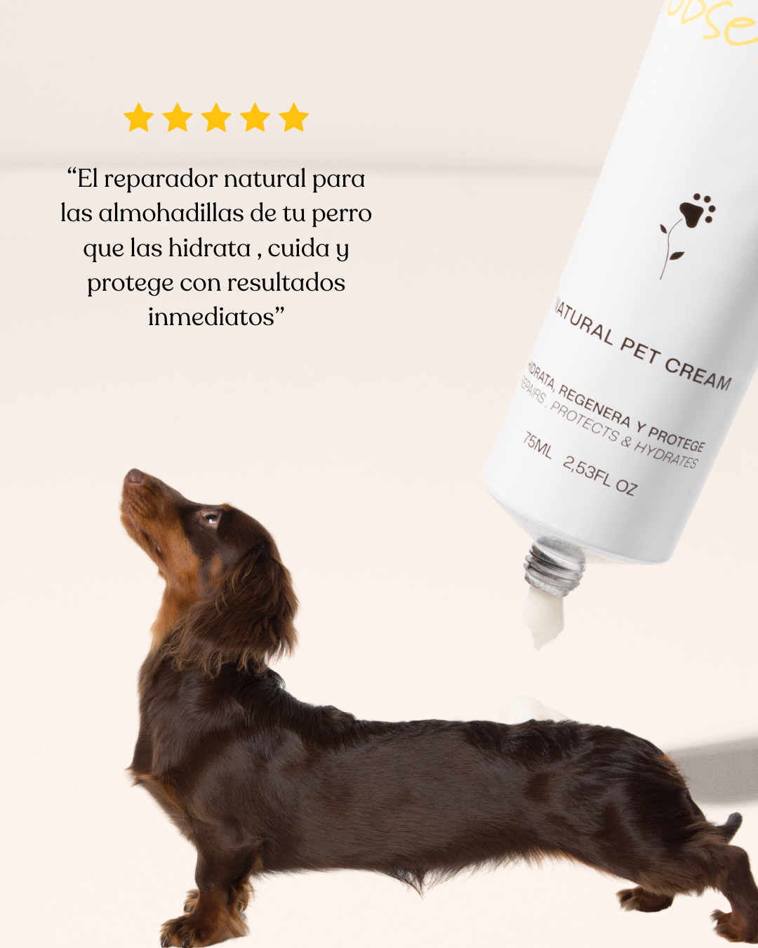 Natural Pet Cream "Dog Obsession"